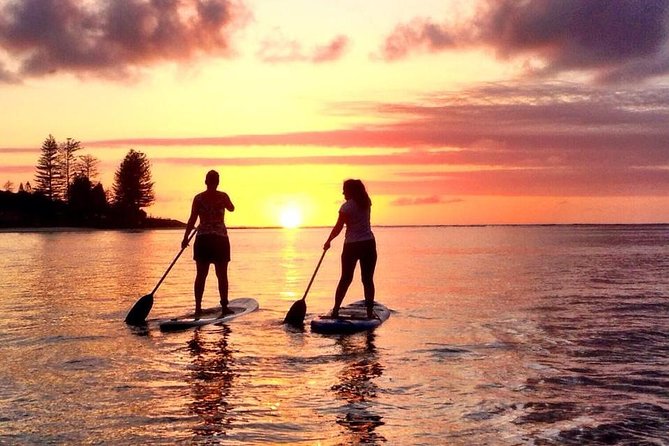 Why Your Anna Maria Island Vacation Calls for Paddle Board Rentals?